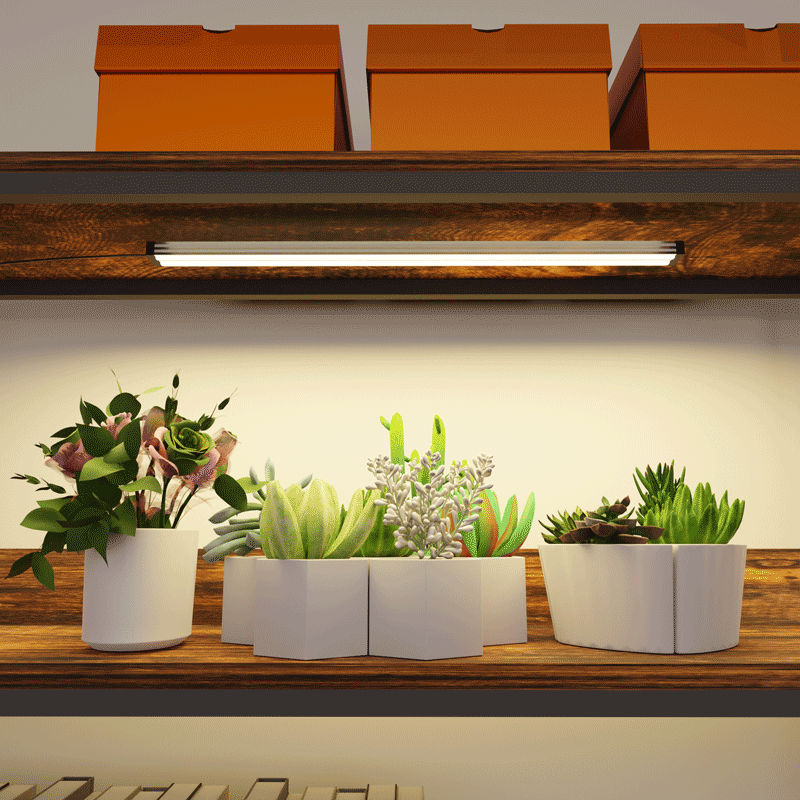 CHIESMA Corner Bookshelf with Grow Lights – Plant Stand & Shelves for Indoor Plants