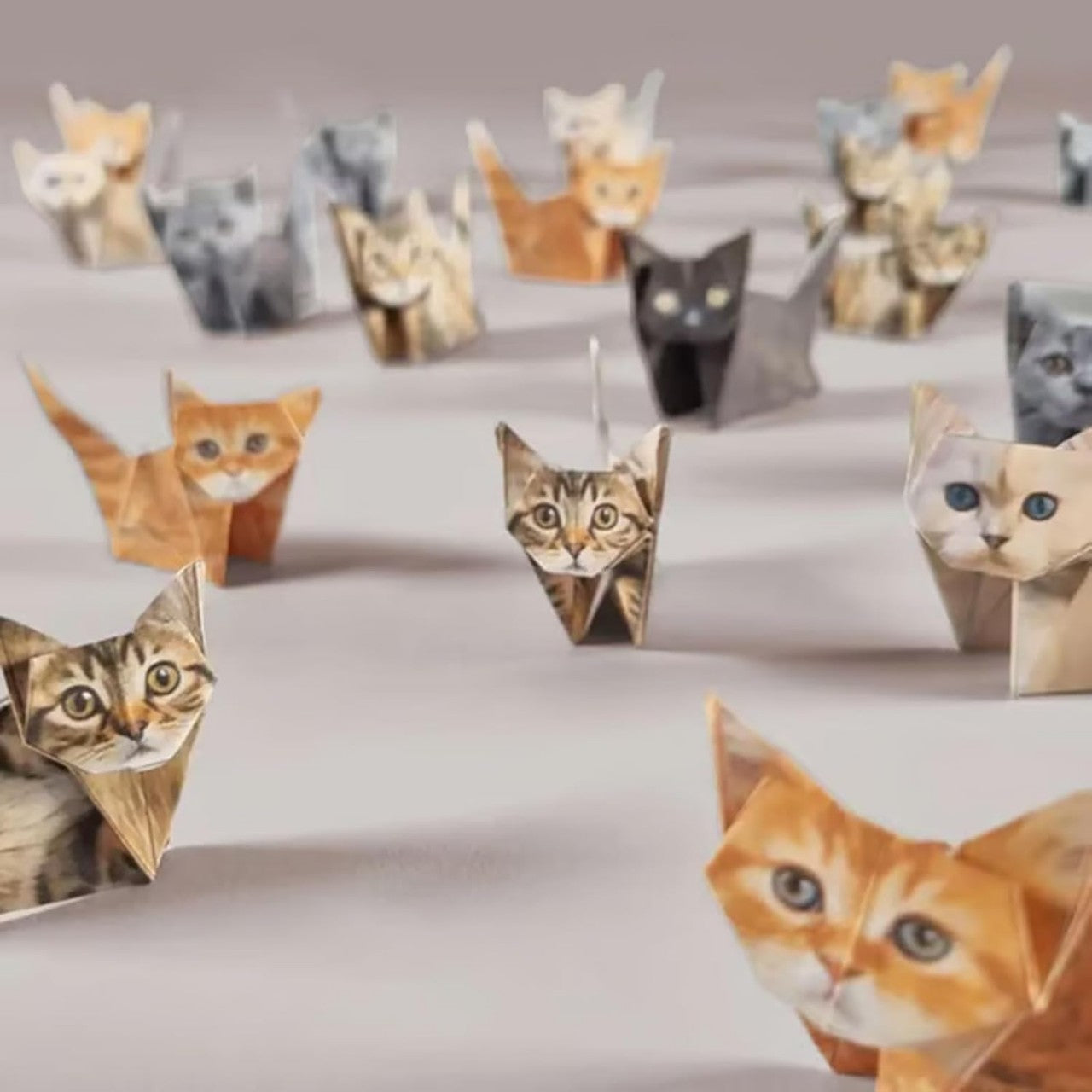 DIY Origami Paper Cats Kit | 50 Sheets Cute Animal Craft for Adults & Kids